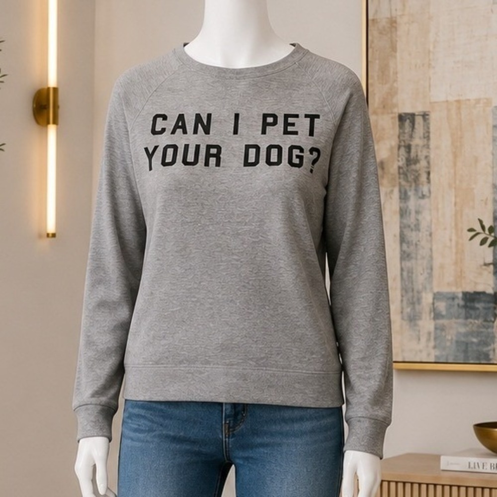 Gilli Womens Sweatshirt Gray Can I Pet Your Dog Graphic Raglan Small